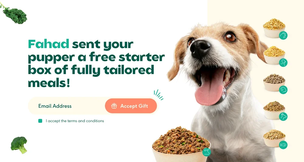 Vista principal de Alimentación para mascotas · V2