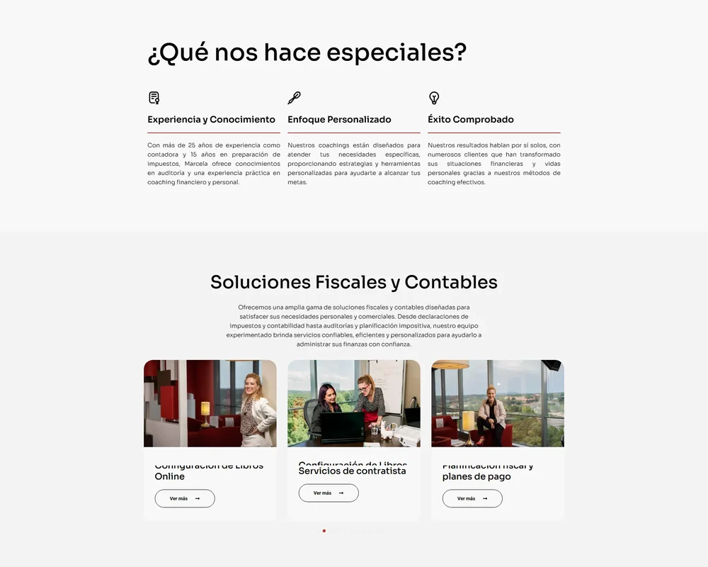Detalle de la página de The Great Consultants